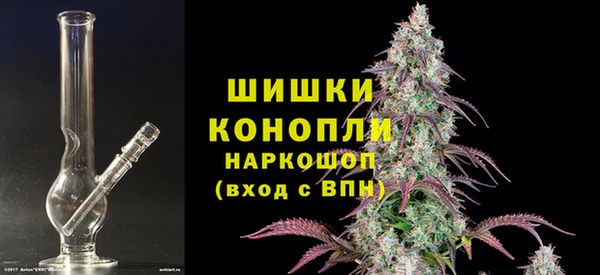 PSILOCYBIN Беломорск